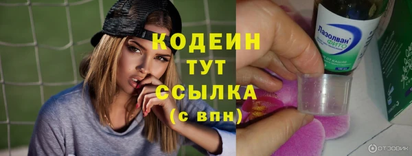 apvp Краснослободск